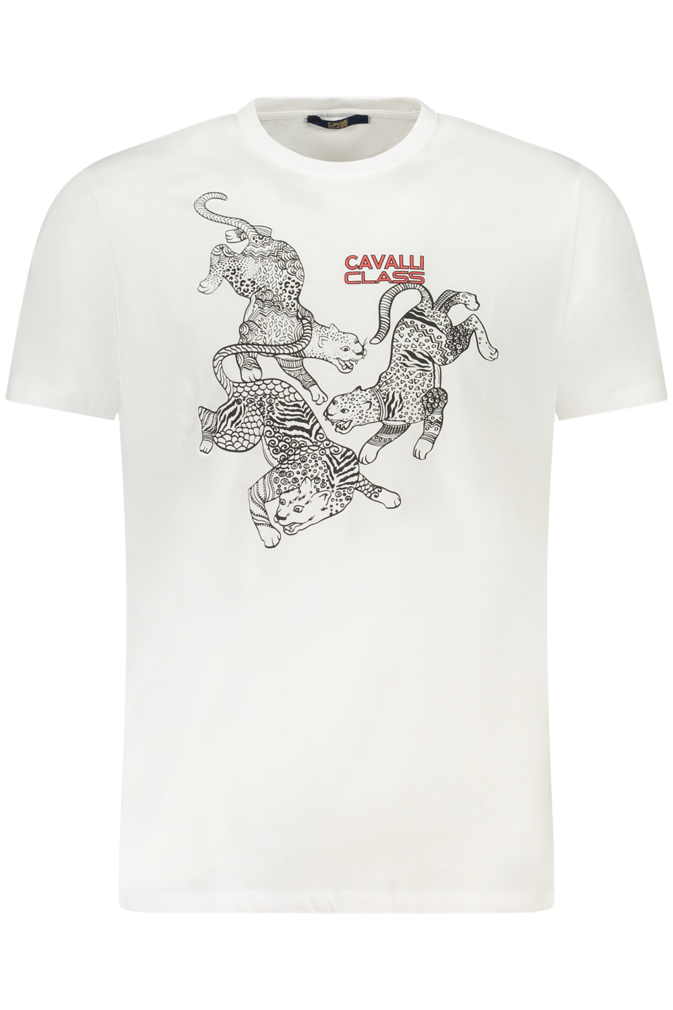 f0c1a293aed2ea6bf8a08dc1fda953f7-f0c1a2